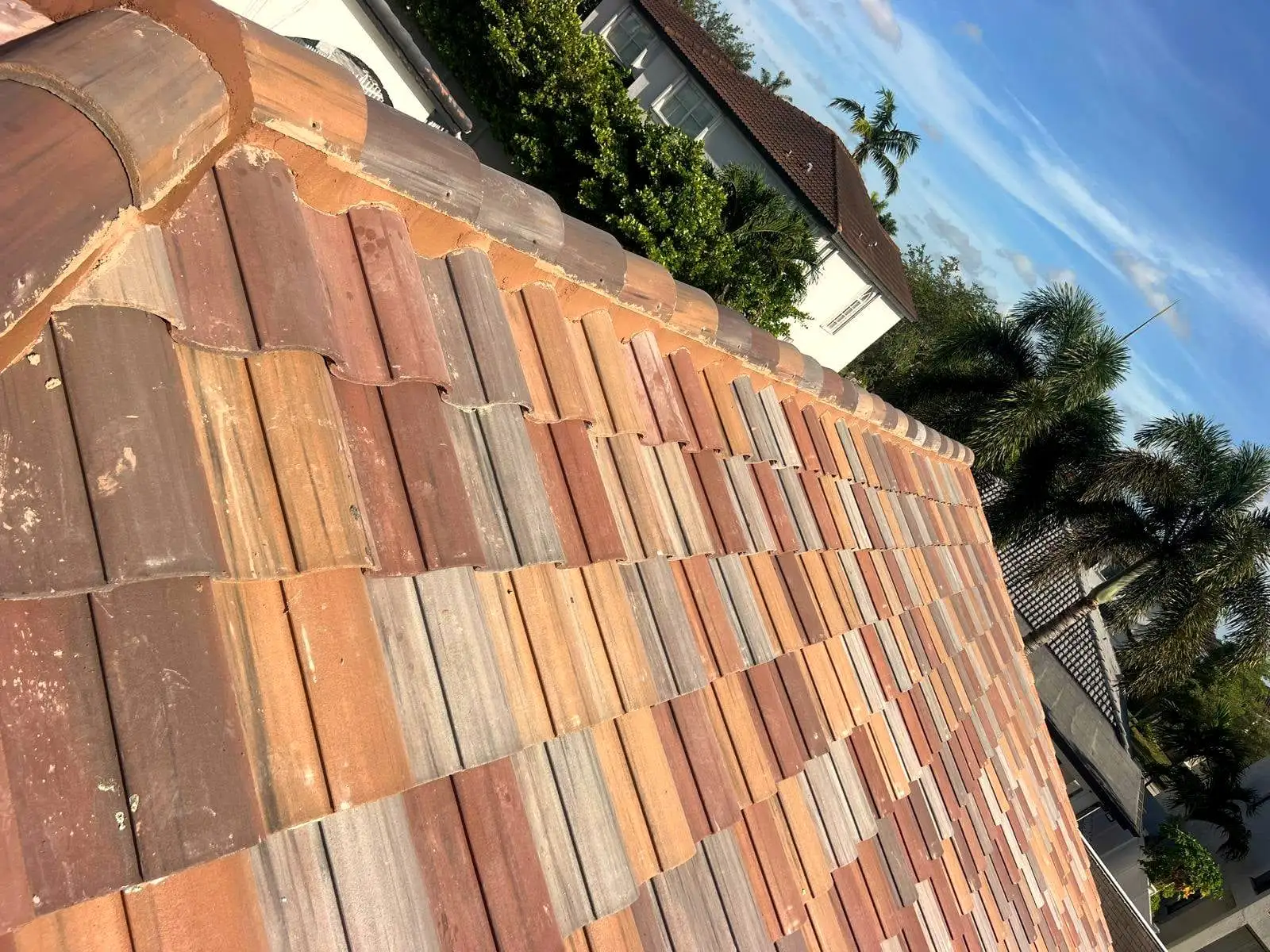 Clay barrel tile and ridge line on a South Florida roof